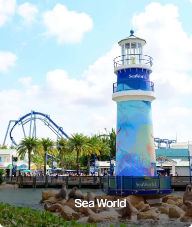 popular-post-5-68c475ba63c39